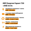 ИБП для котла Энергия Гарант 750 + Аккумулятор 55 Ач 12 В (450Вт - 67мин) - ИБП и АКБ - ИБП для котлов - . Магазин оборудования для автономного и резервного электропитания Ekosolar.ru в Можайске