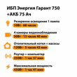 ИБП для котла Энергия Гарант 750 + Аккумулятор 75 Ач 12 В (450Вт - 91мин) - ИБП и АКБ - ИБП для котлов - . Магазин оборудования для автономного и резервного электропитания Ekosolar.ru в Можайске